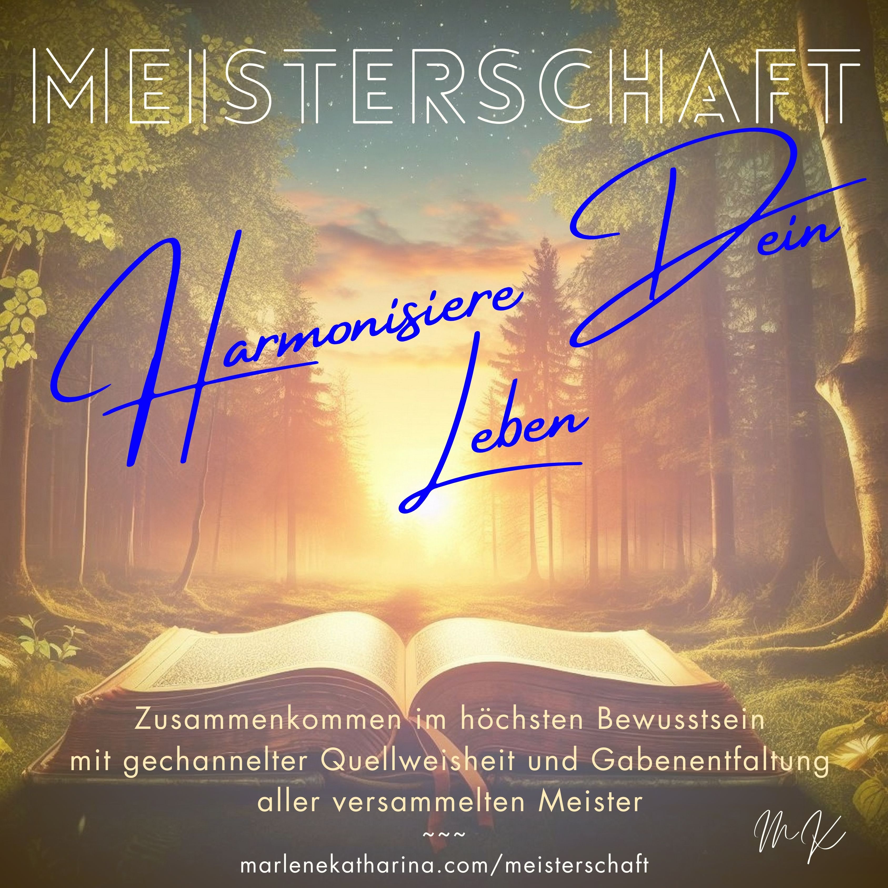 MEISTERSCHAFT – Harmonisiere Dein Leben